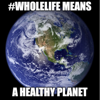 Wholelife means a healthy planet